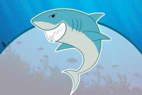 Shark Week